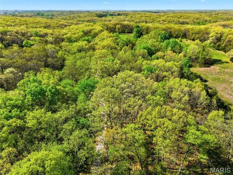 Tiny photo for 104 Tree Farm Road, New Florence, MO 63363 (MLS # 26024593)