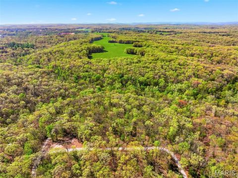 Tiny photo for 104 Tree Farm Road, New Florence, MO 63363 (MLS # 26024593)