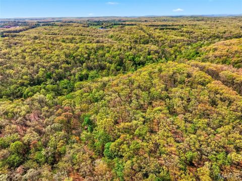 Tiny photo for 104 Tree Farm Road, New Florence, MO 63363 (MLS # 26024593)