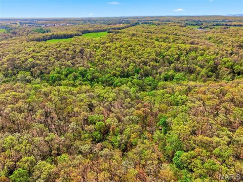 Tiny photo for 104 Tree Farm Road, New Florence, MO 63363 (MLS # 26024593)