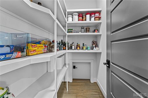 Tiny photo for 3946 Autumn Farms Drive, Wildwood, MO 63069 (MLS # 26015192)