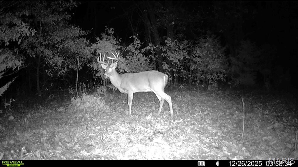 0, None, NA, N/A - Farm