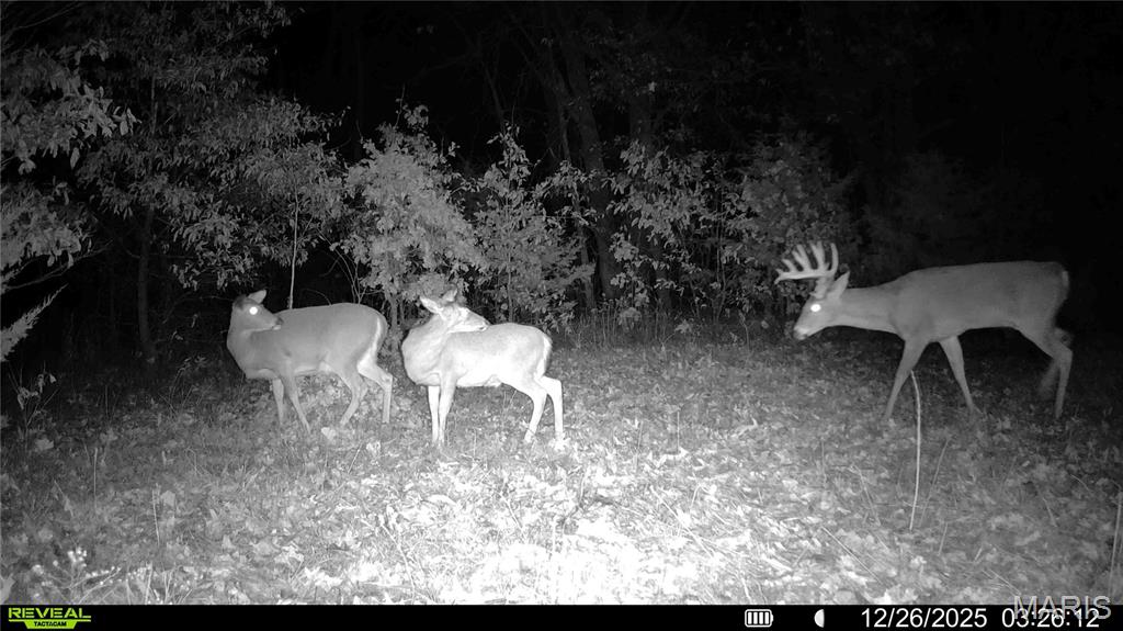 0, None, NA, N/A - Farm