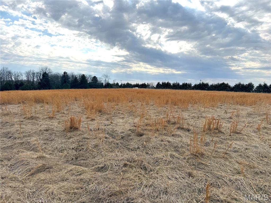 0, None, NA, N/A - Farm