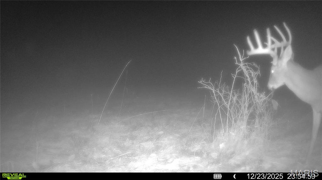 0, None, NA, N/A - Farm