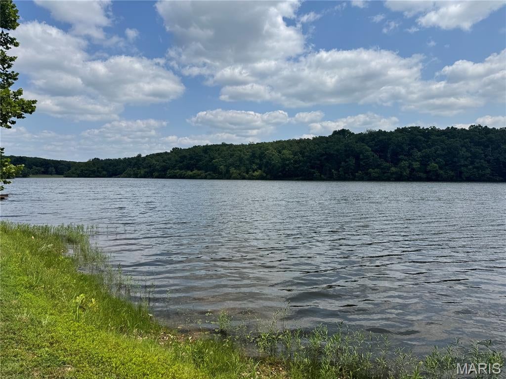 645 Pond Run Road