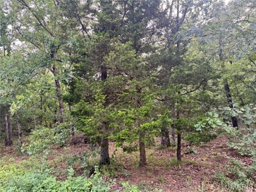 645 Pond Run Road Gerald MO 63037