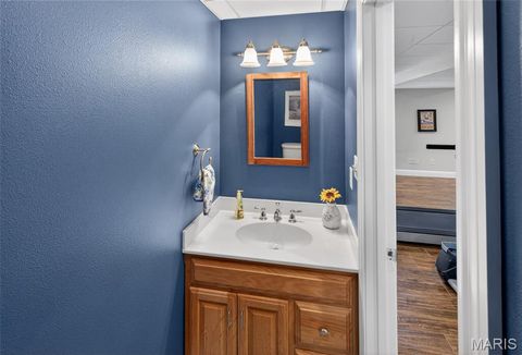 Tiny photo for 1719 Delaware Place, Cape Girardeau, MO 63701 (MLS # 26028412)
