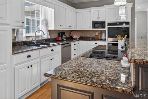 Tiny photo for 1719 Delaware Place, Cape Girardeau, MO 63701 (MLS # 26028412)