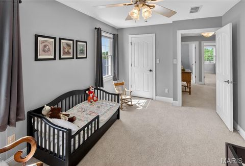 Tiny photo for 1719 Delaware Place, Cape Girardeau, MO 63701 (MLS # 26028412)