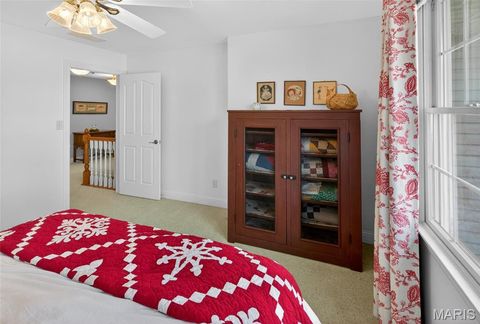 Tiny photo for 1719 Delaware Place, Cape Girardeau, MO 63701 (MLS # 26028412)