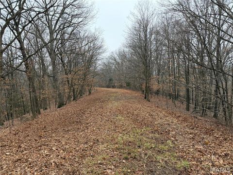 Photo of 12178 Dogwood Drive, Holts Summit, MO 65043 (MLS # 26012252)