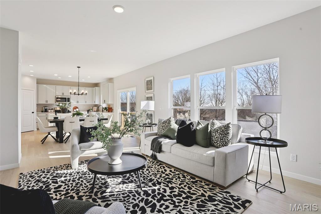 Buena Vista - Residential