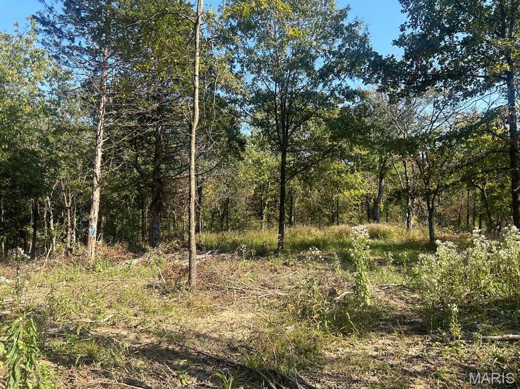 The Estates at Schaper Farms - Land