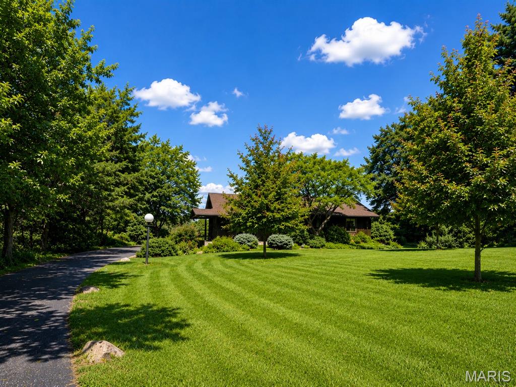 505 Taylor Young Drive