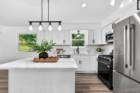 Tiny photo for 3036 Cherokee Lane, St Charles, MO 63301 (MLS # 26031395)