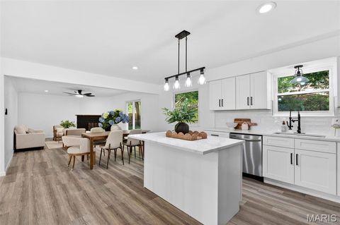 Tiny photo for 3036 Cherokee Lane, St Charles, MO 63301 (MLS # 26031395)