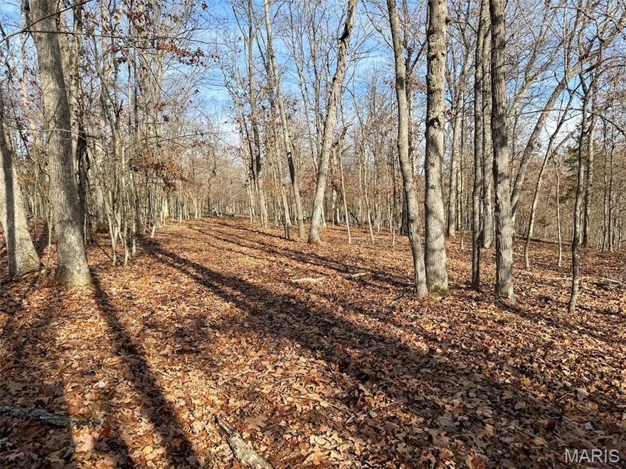 This large, all-timber tract in Jefferson County is a solid setup for anyone looking for a true recreational property with long-term upside. A well-established trail system runs throughout the property, making it easy to access by ATV, UTV, or on foot. The timber provides excellent cover and natural travel corridors, creating a strong hunting property for deer, turkey, and other wildlife. In addition to recreation, the property offers strong investment and development potential. With multiple possible building sites, it could be well suited for a private home, weekend cabin, hunting camp, or future development. Whether you’re looking to enjoy it now or hold it as a long-term investment, this tract offers versatility, privacy, and value in a highly desirable area.