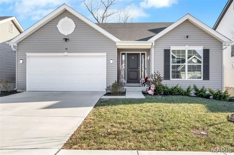 Photo of 38 Brush Creek Drive, Pacific, MO 63069 (MLS # 25082429)