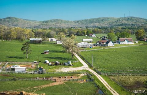 260 Kentucky Derby Lane Arcadia MO 63621