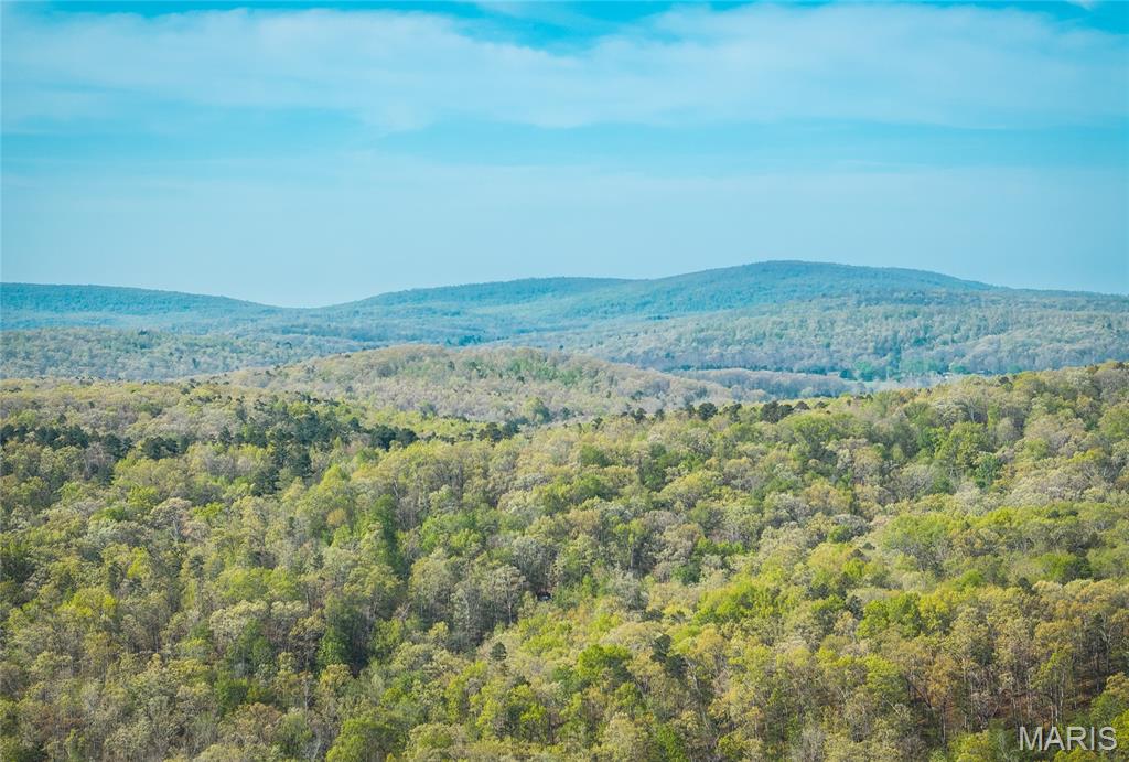 260 Kentucky Derby Lane