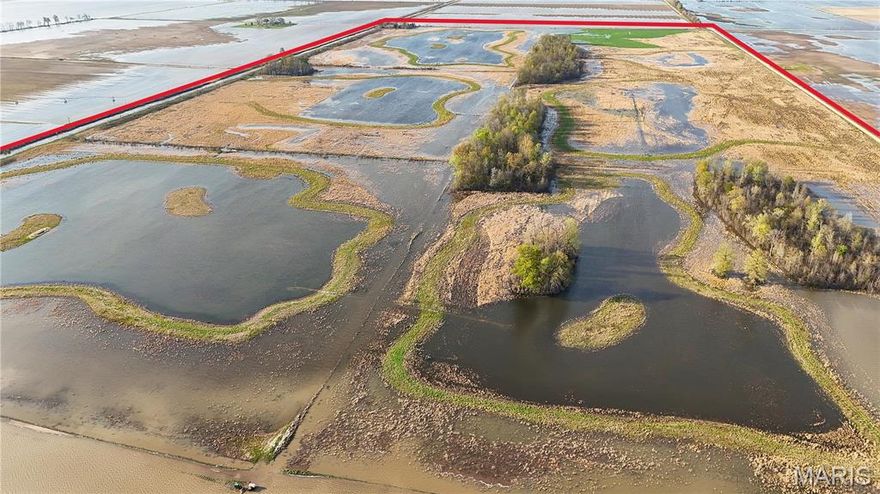 300 +/- acres for sale in New Madrid County, Missouri. Located in the famed lowlands known as Gee Bottoms just 5 miles West of Ten Mile Waterfowl Refuge and North of Reelfoot Lake NWR. This area is well known for exceptional hunting habitat, and this property is a turn-key opportunity for waterfowl, whitetail deer, dove, and even quail. Additional 160 acres of unrestricted row-crop land can be negotiated but not sold separately. Enrolled in a WRE wetland easement, this 300 deeded acre tract has been designed and developed to offer a variety of habitat to native game species, with 7 water fowling impoundments complete with water control structures. The natural topography offers users multiple configurations for hunting and to further develop the land to create a sanctuary for both hunter and game. 2 areas along the graveled county road remain unrestricted and allow for structures such as storage or even a hunting lodge. New electric well. Success afield begins with the right location.