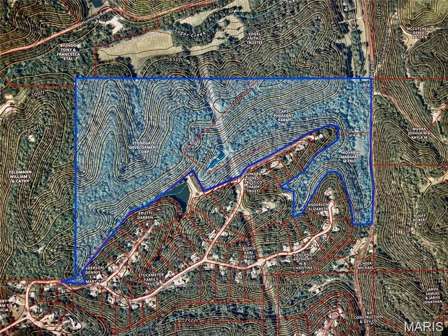 146 Acres (+-) of wooded property bordering Stone Henge Estates. This property would be a wonderful opportunity to create an outstanding estate or use for recreational purposes. A preliminary Plat had been drawn up some years ago to include roads, 2 acre lots and could be a great starting point for creating a new subdivision! There are a total of 7 parcels included. No homestead exists on the site. Water and Electric are available at the street.