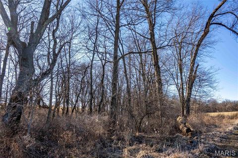 Tiny photo for 00 Hwy HH, Bowling Green, MO 63334 (MLS # 25018906)