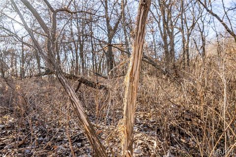 Tiny photo for 00 Hwy HH, Bowling Green, MO 63334 (MLS # 25018906)