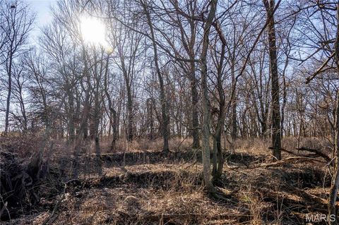 Tiny photo for 00 Hwy HH, Bowling Green, MO 63334 (MLS # 25018906)