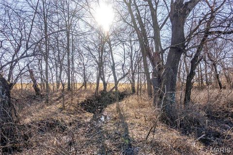 Tiny photo for 00 Hwy HH, Bowling Green, MO 63334 (MLS # 25018906)