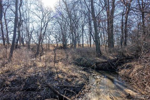 Tiny photo for 00 Hwy HH, Bowling Green, MO 63334 (MLS # 25018906)