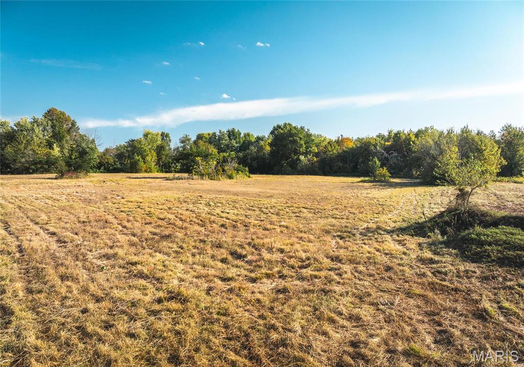 Reifenstahl Tracts - Land