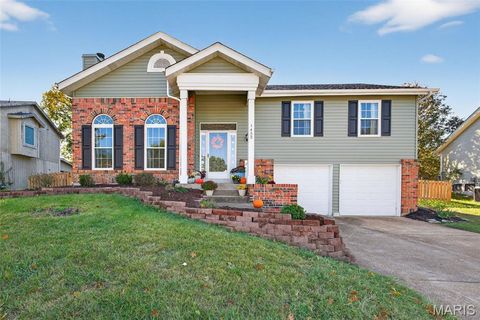 1452 Cedar Bluff Drive Ballwin MO 63021