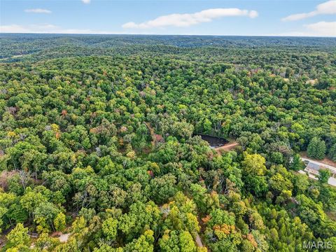 Tiny photo for 18 State Hwy D, Marthasville, MO 63357 (MLS # 25055311)