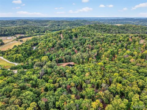 Tiny photo for 18 State Hwy D, Marthasville, MO 63357 (MLS # 25055311)