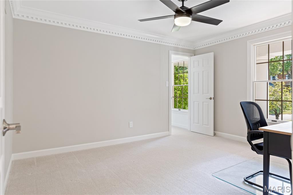 Essex Point - Residential