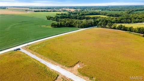 Tiny photo for 112 Otto Court, Silex, MO 63377 (MLS # 24058076)