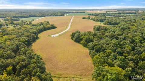 Tiny photo for 112 Otto Court, Silex, MO 63377 (MLS # 24058076)