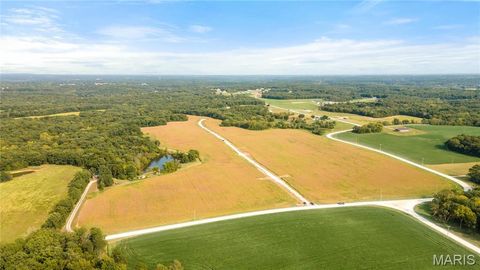 Tiny photo for 112 Otto Court, Silex, MO 63377 (MLS # 24058076)