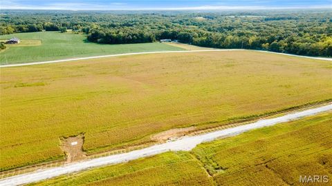 Tiny photo for 112 Otto Court, Silex, MO 63377 (MLS # 24058076)