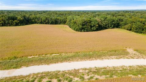 Tiny photo for 112 Otto Court, Silex, MO 63377 (MLS # 24058076)