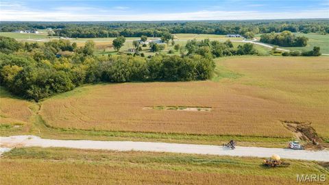 Tiny photo for 112 Otto Court, Silex, MO 63377 (MLS # 24058076)