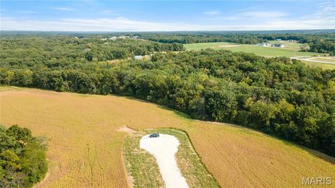 Tiny photo for 112 Otto Court, Silex, MO 63377 (MLS # 24058076)