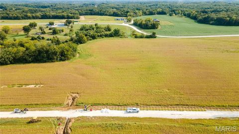 Tiny photo for 112 Otto Court, Silex, MO 63377 (MLS # 24058076)