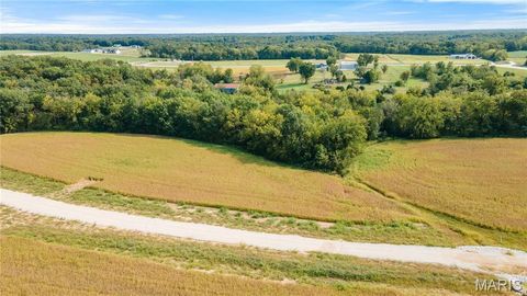 Tiny photo for 112 Otto Court, Silex, MO 63377 (MLS # 24058076)