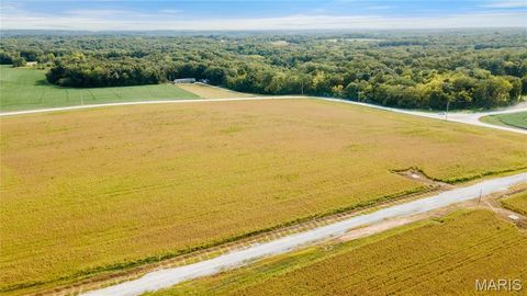 Tiny photo for 112 Otto Court, Silex, MO 63377 (MLS # 24058076)