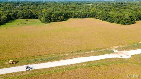 Tiny photo for 112 Otto Court, Silex, MO 63377 (MLS # 24058076)