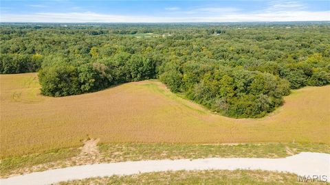 Tiny photo for 112 Otto Court, Silex, MO 63377 (MLS # 24058076)