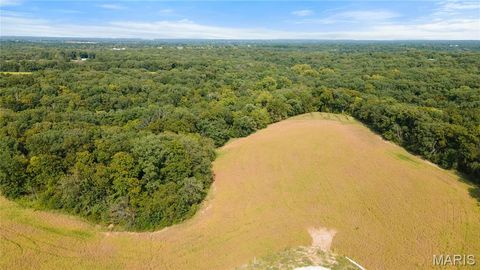 Tiny photo for 112 Otto Court, Silex, MO 63377 (MLS # 24058076)